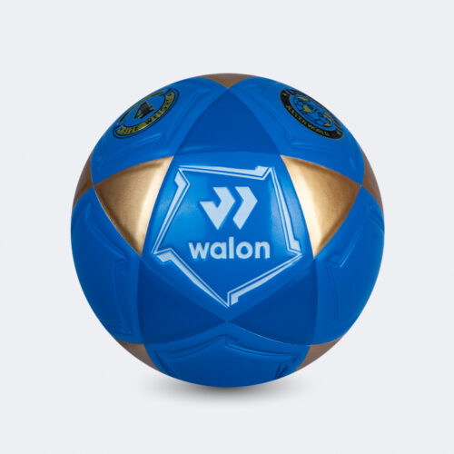 Pelota Fútbol Blaze IV