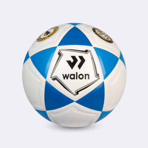 Pelota Fútbol Blaze IV