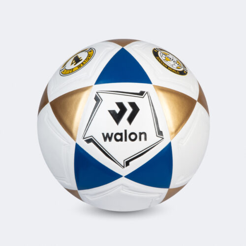 Pelota Fútbol Blaze IV