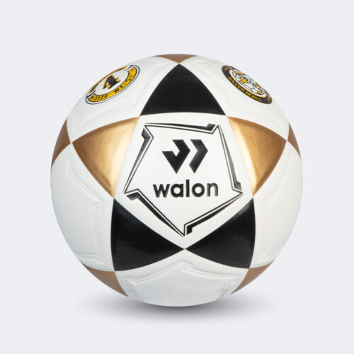 Pelota Fútbol Blaze IV