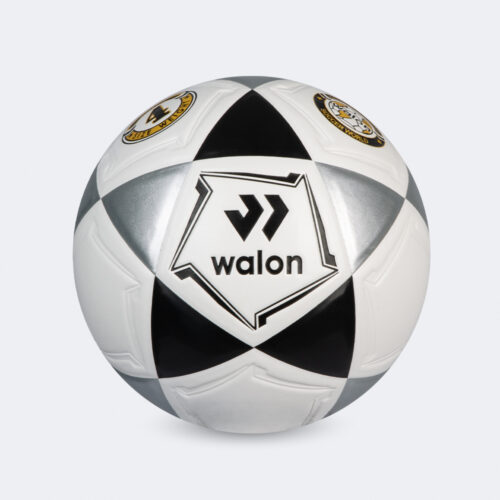 Pelota Fútbol Blaze IV