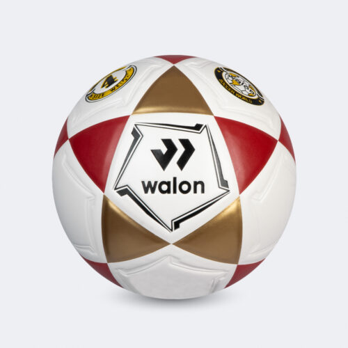 Pelota Fútbol Blaze IV