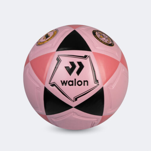 Pelota Fútbol Blaze IV